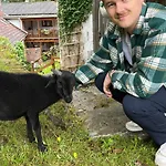 Fruehstueckspension 3* Eibenstein