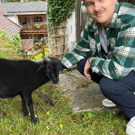 Fruehstueckspension 3* Eibenstein