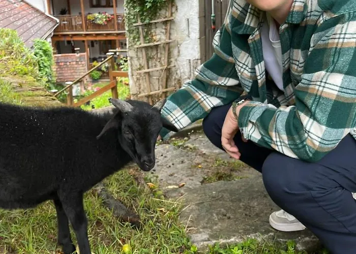 Fruehstueckspension 3* Eibenstein